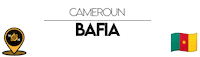 Nn Cameroon Sticker by NoirNomads