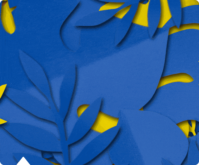 GIF by HOTA