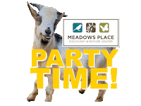 Goat Sticker by Meadows Place