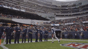 High Five Jonathan Jones GIF by New England Patriots