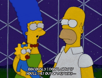 homer simpson GIF