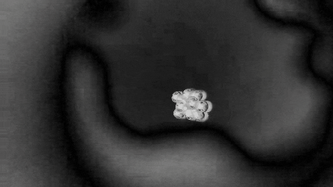 Digital Art GIF