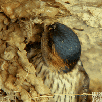 David Tennant GIF by BBC America