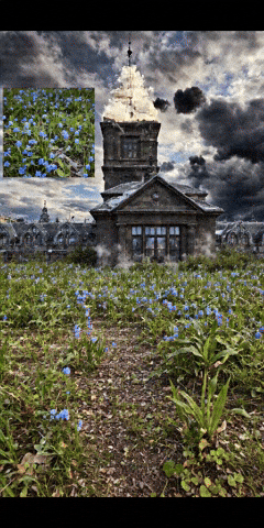 Bg Veo GIF by Aleksey Efremov