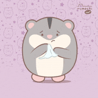Sad Cat GIF by NICI GmbH
