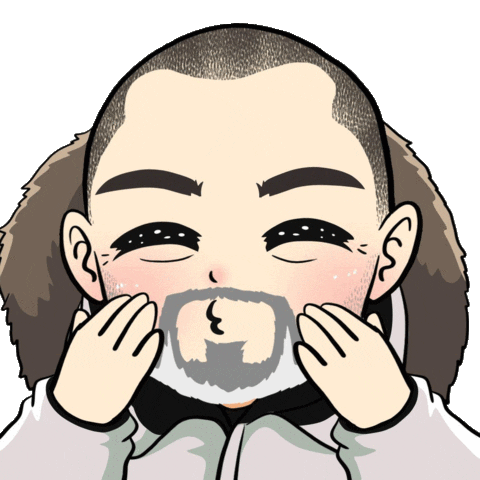 marcobrottooficial giphyupload aurora aurora boreal marco brotto Sticker