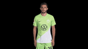 Happy Celebration GIF by VfL Wolfsburg