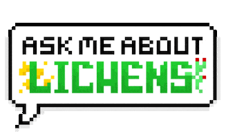 Bouncing Ask Me Sticker