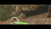 skyern movie film morning sunset GIF