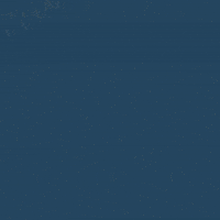 Feliz Cumpleaños GIF by Zhot Shotz