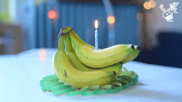 Konradulations birthday happy birthday song congrats GIF
