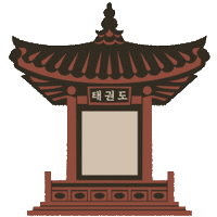 Martial Arts Korea Sticker by Taekwondo Camaleones