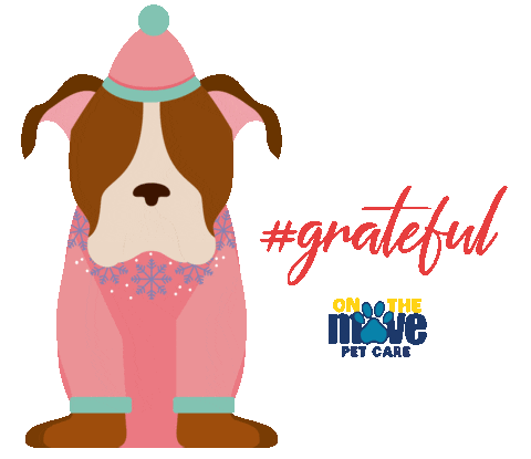 Dog Celebrate Sticker by OTM Pet Care