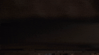 Looking Under The Bed