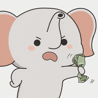 untamedelephants cute meme animals cash GIF