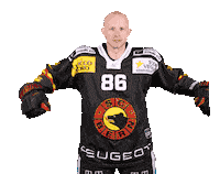 Vermin Sticker by SC Bern