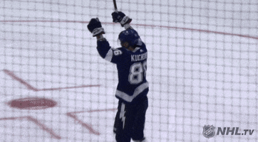 Happy Ice Hockey GIF by NHL