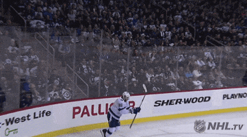 happy ice hockey GIF by NHL