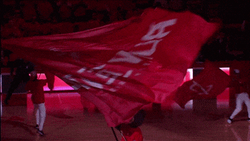 waving houston rockets GIF by NBA
