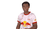 See It Red Bull Sticker by FC Red Bull Salzburg
