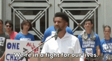 Florida GIF by GIPHY News