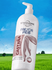 GIF by Stanhome México