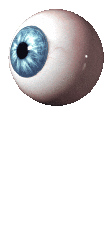 3D Bouncing Sticker by NPIRE