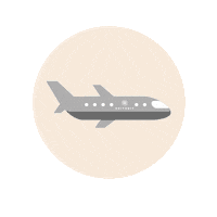 SUITSUIT fly flying plane air Sticker