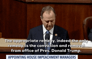 news impeachment impeachment trial adam schiff impeachment managers GIF