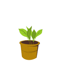 Wizarding World Magic Sticker by Harry Potter