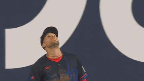 Blue Jays Baseball GIF by Toronto Blue Jays