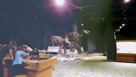 science center education GIF by visitorlando