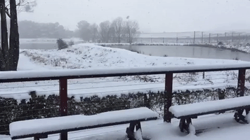 Orange, NSW, Blanketed in Snow