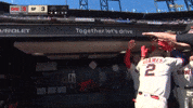 Celebrate San Francisco Giants GIF by MLB