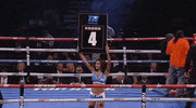 toprank 2 4 5 10 GIF