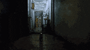 cat hk GIF