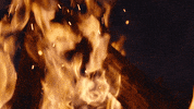 Camping Camp Fire GIF by Hanson