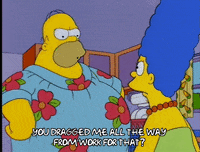 homer simpson GIF