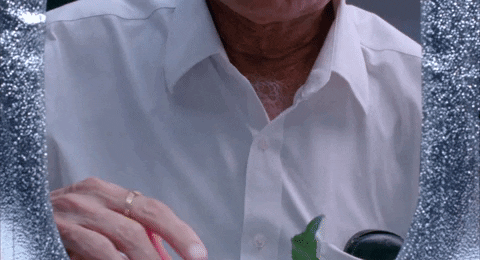 petals GIF by NOWNESS