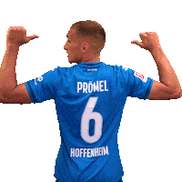 Grischa Prömel Sport Sticker by TSG Hoffenheim