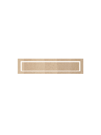 Physio Bonn Sticker by Praxis Malz
