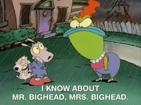 rockos modern life nicksplat GIF