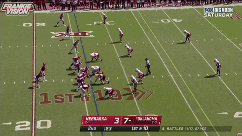 Digono giphygifmaker rattlerdecidefaster GIF