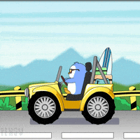 Driving New York GIF by Pudgy Penguins