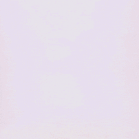 GIF by Black Bananas