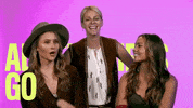cmt  GIF