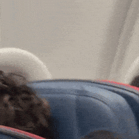 Untiljapan GIF by Respective