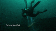 GIF by Sky HISTORY UK
