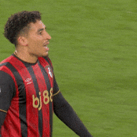 Shouting Premier League GIF by AFC Bournemouth