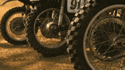 Motorcycle GIF by Focus Features